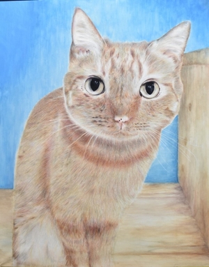 「保護猫の翔ちゃん」増田 光希